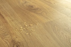 08327a5794dc3b97b845ed0d0decb0c6