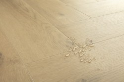 16c61eaf7a914c482227d3be97cf0176