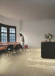 5ace7906a2eb75e6d9cad1e9117e3d88