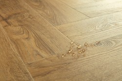 82996ba77471e7347cbf5fa58bb72d5d