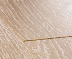 UF1896Structurejpg33056