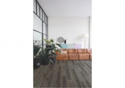 aspc20245-1-1152x812