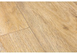 bacl40130-1-1152x812