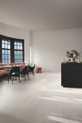 dub_seryy_lakirovannyy