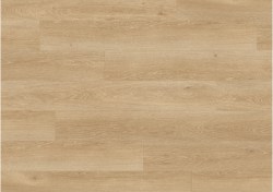 pugp40081-0-1152x812