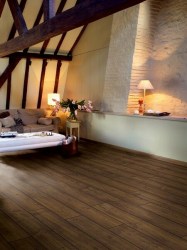 step_impressive_ultra_imu1851_dub_derevenskiy_1